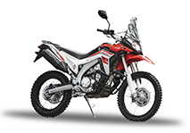 LX300GY-A RALLY 300
